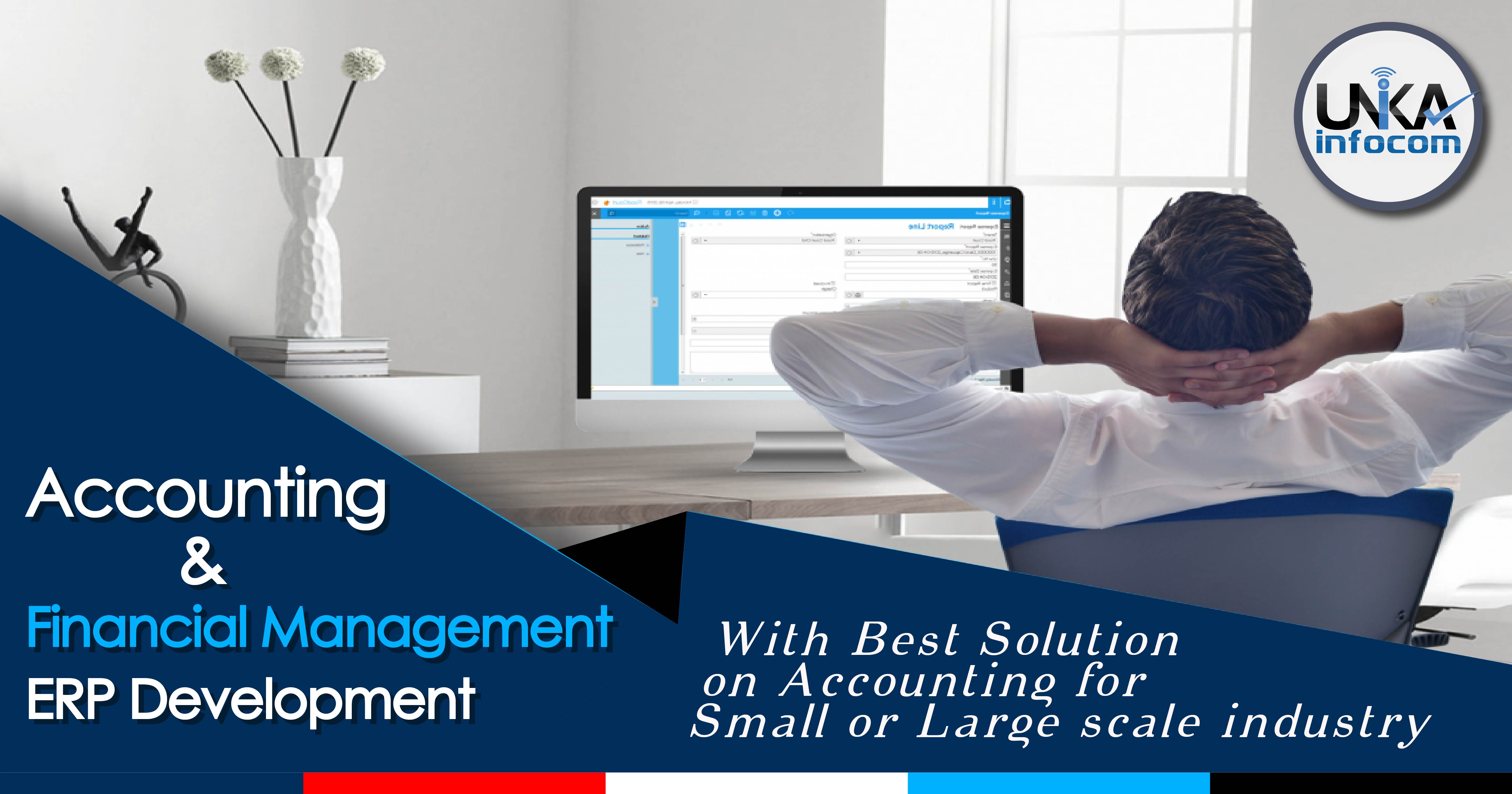 accounting financial management erp software development